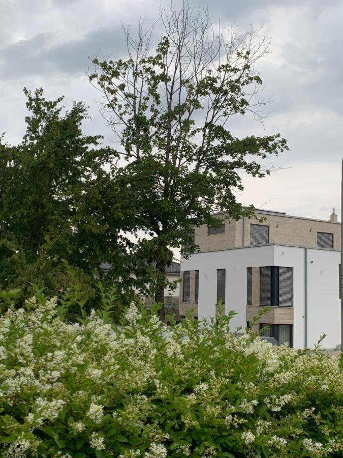 Mosaikhaus Smart Home Вюрзелен Экстерьер фото
